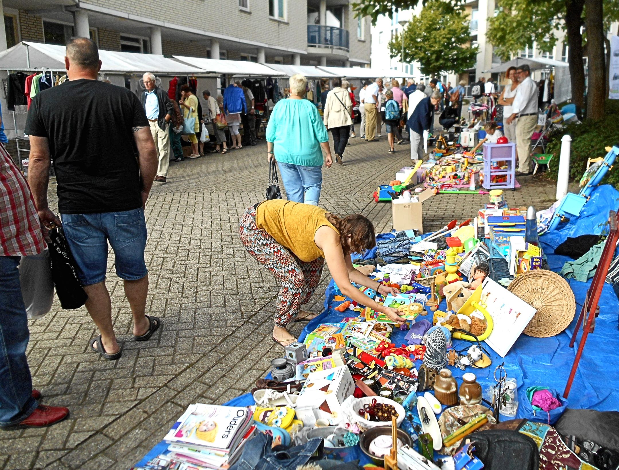 Kelder Zolder Markt