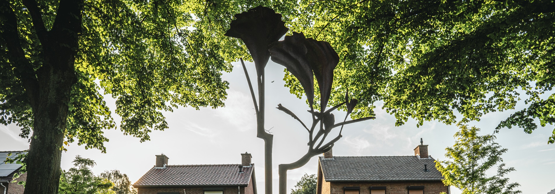 Ruisende Wind